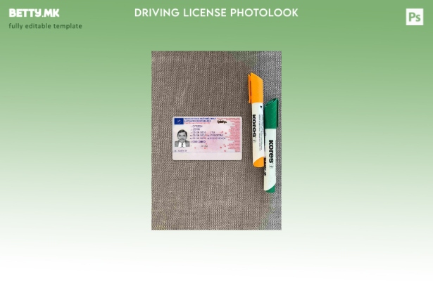 модерен стил Литванија dl претстави photolook ПРЕДЕН шаблон